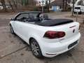 Volkswagen Golf Cabriolet Golf VI Cabrio Cabrio 1.2 TSI /Teilleder-Alcantara Weiß - thumbnail 8