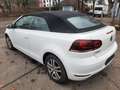 Volkswagen Golf Cabriolet Golf VI Cabrio Cabrio 1.2 TSI /Teilleder-Alcantara Weiß - thumbnail 6