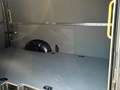 Volkswagen Crafter VW Crafter 35 T6 Kastenwagen L3H3 TDI 4MOTION Grau - thumbnail 8