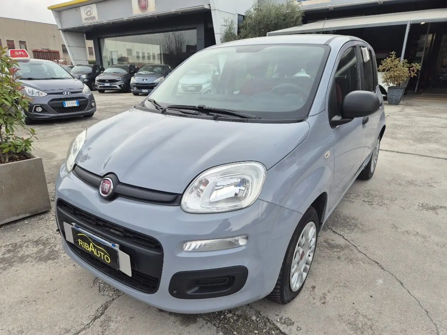 Fiat Panda 1.2 Lounge ok neopatentato Grigio - 1