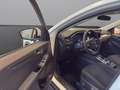 Ford Kuga Tit 5D 1,5 Ecoboost A8 FWD Weiß - thumbnail 8