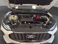 Ford Kuga Titsanium 5D 1,5 Ecoboost A8 FWD Weiß - thumbnail 24