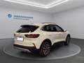 Ford Kuga Titsanium 5D 1,5 Ecoboost A8 FWD Weiß - thumbnail 5