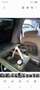 Kia Carnival Carnival 2.9 CRDi DPF EX  Basis Negro - thumbnail 11