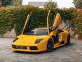 Lamborghini Murciélago Giallo Orion/ MANUAL/ NEW PAINT/ Mint condition Gelb - thumbnail 1