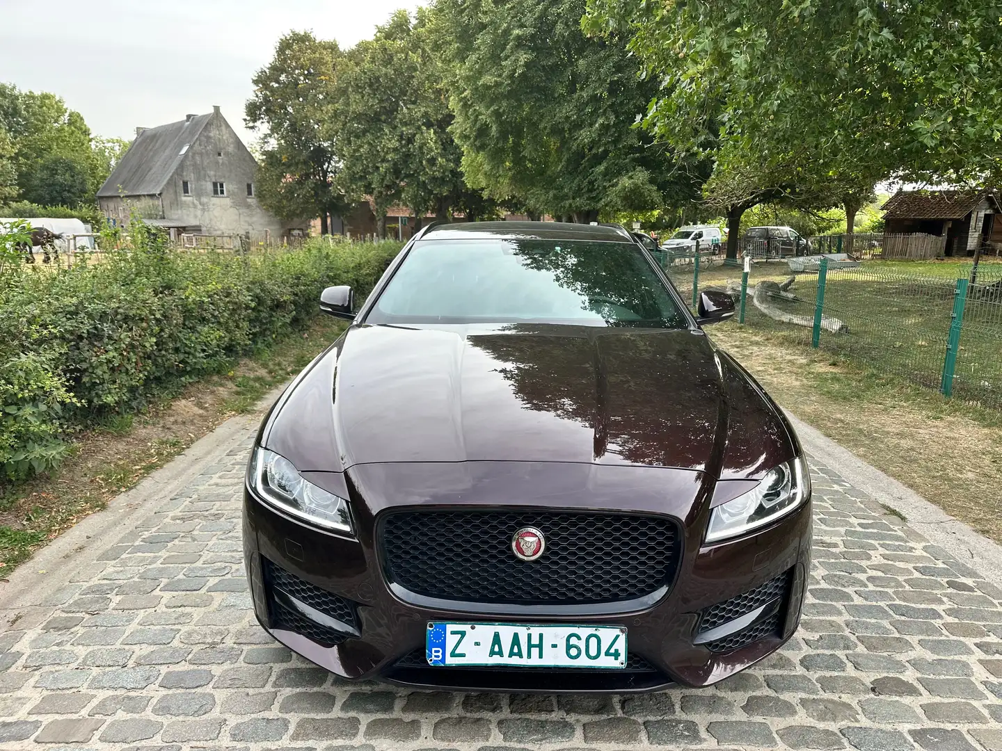 Jaguar XF XF Sportbrake 2.0 D AWD R-Sport (EU6.2) Violett - 2