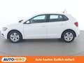 Volkswagen Polo 1.0 TSI Comfortline Weiß - thumbnail 3