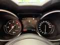 Alfa Romeo Stelvio Veloce Q4 Grau - thumbnail 16
