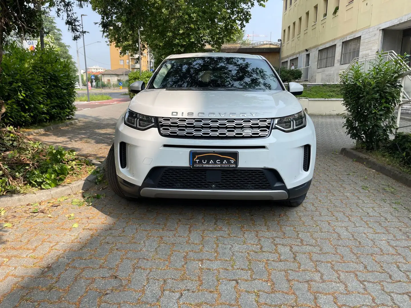 Land Rover Discovery Sport S 2.0 D 165 MHEV Blanc - 2