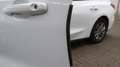 Ford Focus Turnier Titanium X Blanc - thumbnail 15