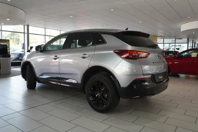Opel Grandland X view 11