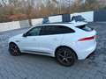 Jaguar F-Pace R F-PACE S AWD"Neue Steuerketten" Weiß - thumbnail 8