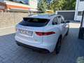 Jaguar F-Pace R F-PACE S AWD"Neue Steuerketten" Weiß - thumbnail 16