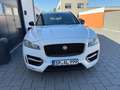 Jaguar F-Pace R F-PACE S AWD"Neue Steuerketten" Weiß - thumbnail 4