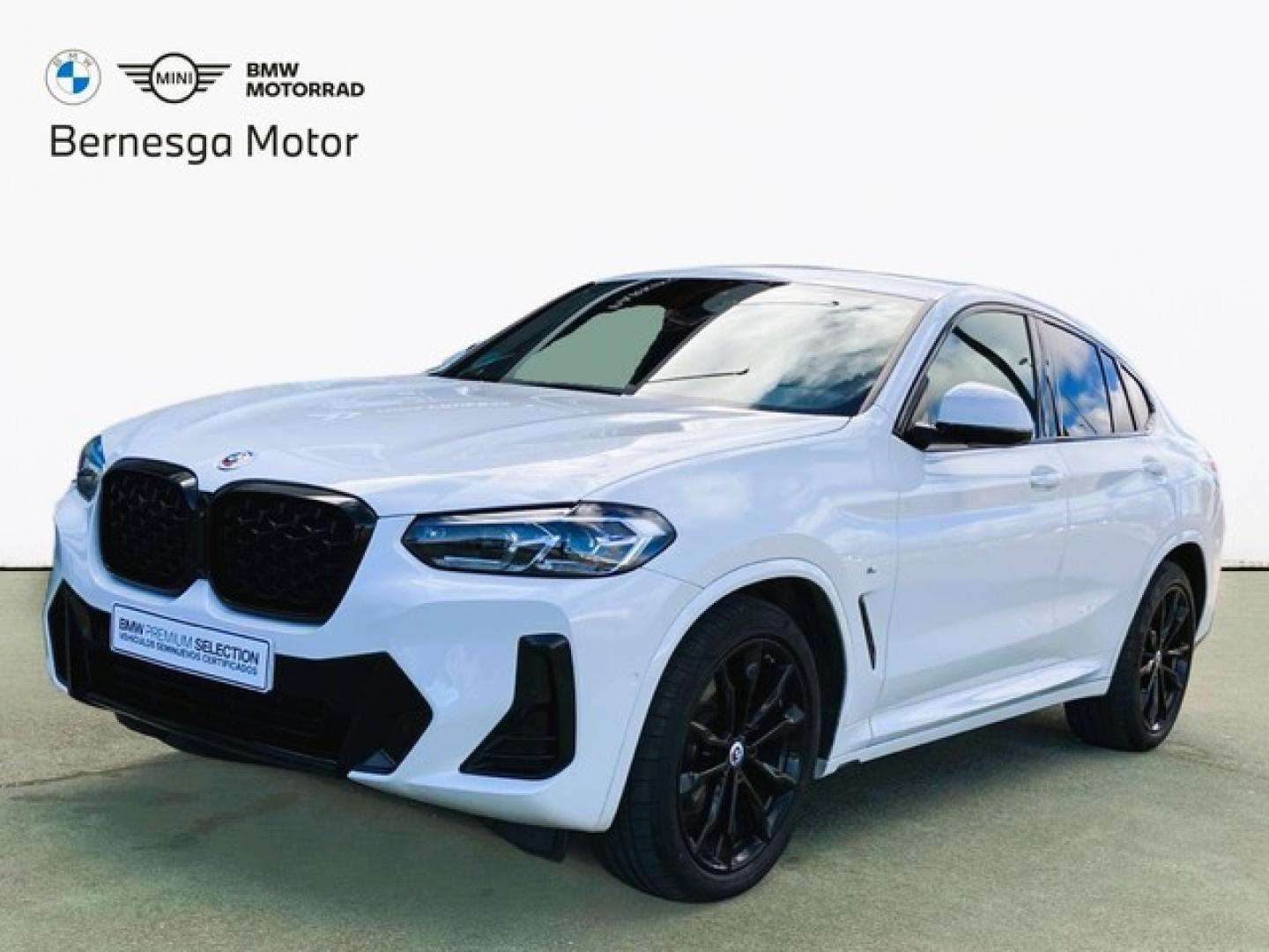 BMW X4 xDrive 20dA xLine - foto 1