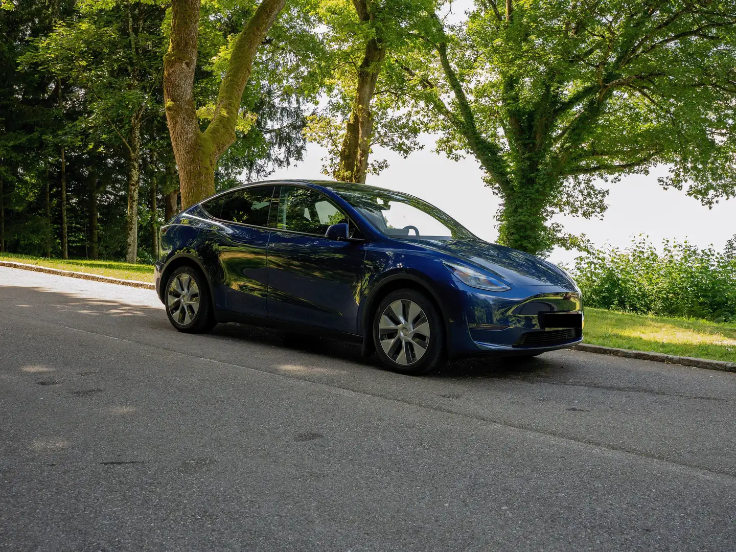 Tesla Model Y Model Y Long Range AWD 75kWh Niebieski - 1