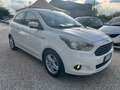 Ford Ka/Ka+ 1200 BENZINA 5 PORTE KM CERTIFICATI 1PROPRIETARIO Blanc - thumbnail 1