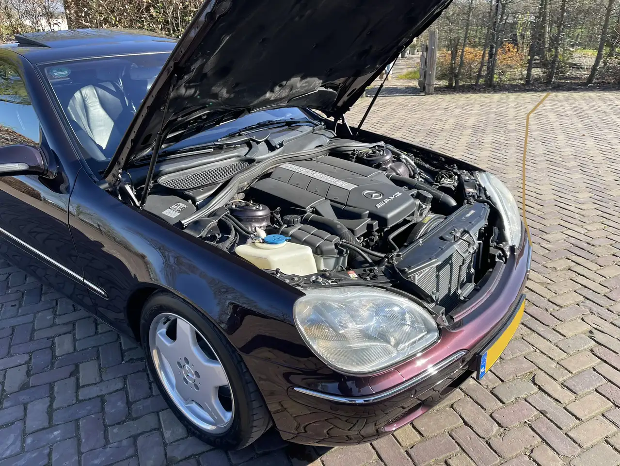 Mercedes-Benz S 55 AMG | 1999 | Pre-productie (1 van 195), foto 12