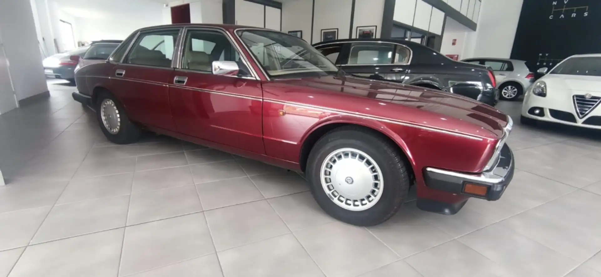 Daimler 4 Mauve - 1