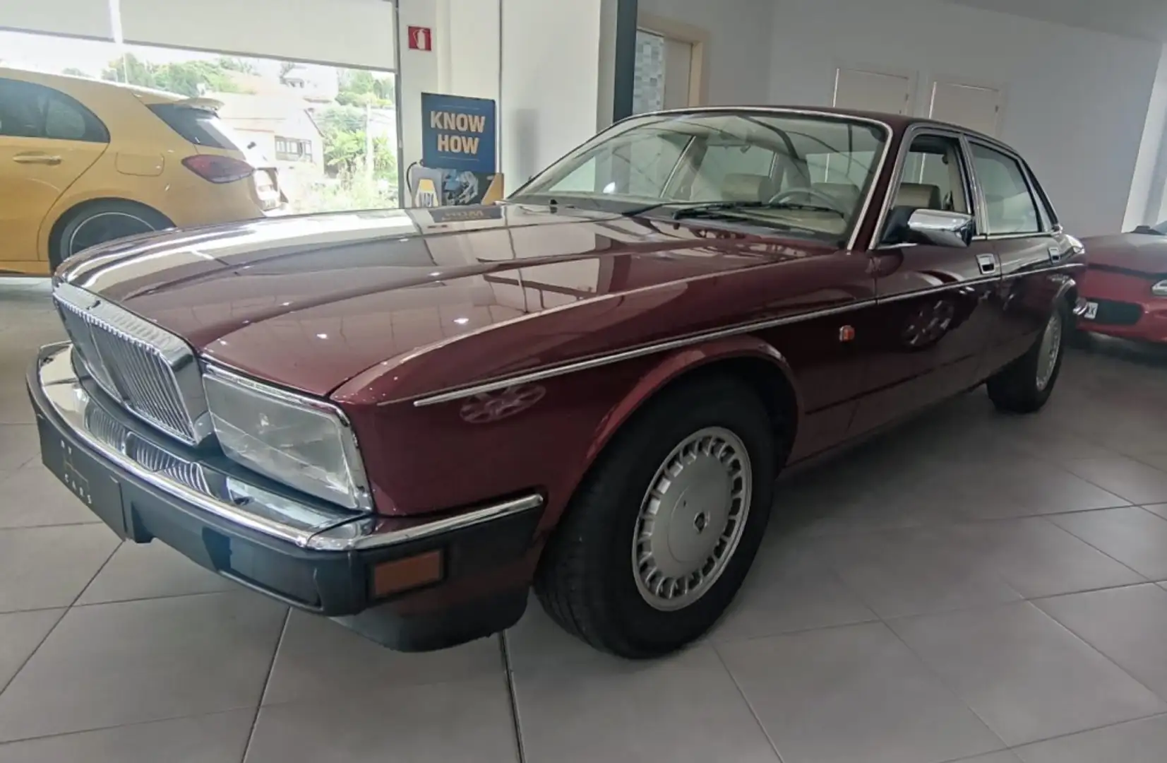 Daimler 4 Mauve - 2