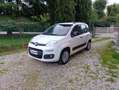 Fiat Panda Panda III 2012 1.2 easypower Easy Gpl 69cv Blanco - thumbnail 2
