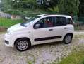 Fiat Panda Panda III 2012 1.2 easypower Easy Gpl 69cv Blanco - thumbnail 3