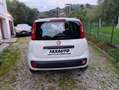 Fiat Panda Panda III 2012 1.2 easypower Easy Gpl 69cv Blanco - thumbnail 6