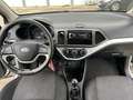 Kia Picanto 1.0l - thumbnail 3