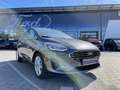 Ford Fiesta 1.0 EcoBoost Hybrid S&S TITANIUM Grigio - thumbnail 1