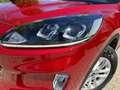 Ford Kuga 2.5 Duratec PHEV Titanium 4x2 Rojo - thumbnail 15