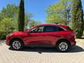 Ford Kuga 2.5 Duratec PHEV Titanium 4x2 Rojo - thumbnail 5