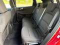 Ford Kuga 2.5 Duratec PHEV Titanium 4x2 Rojo - thumbnail 11
