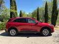 Ford Kuga 2.5 Duratec PHEV Titanium 4x2 Rojo - thumbnail 6