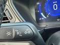 Ford Kuga 2.5 Duratec PHEV Titanium 4x2 Rojo - thumbnail 18