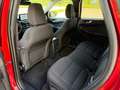 Ford Kuga 2.5 Duratec PHEV Titanium 4x2 Rojo - thumbnail 12