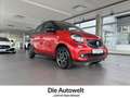 smart forFour 1.0 NAVI LEDER GRA SHZG KLIMA LED BT LM Klima - thumbnail 1