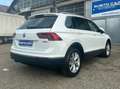 Volkswagen Tiguan ADVANCED 2.0 tdi 4motion 150cv dsg Blanc - thumbnail 6