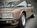 Jaguar XJ XJ-6 3.6 / Daimler / Rare early example / Satinbei Bruin - thumbnail 7