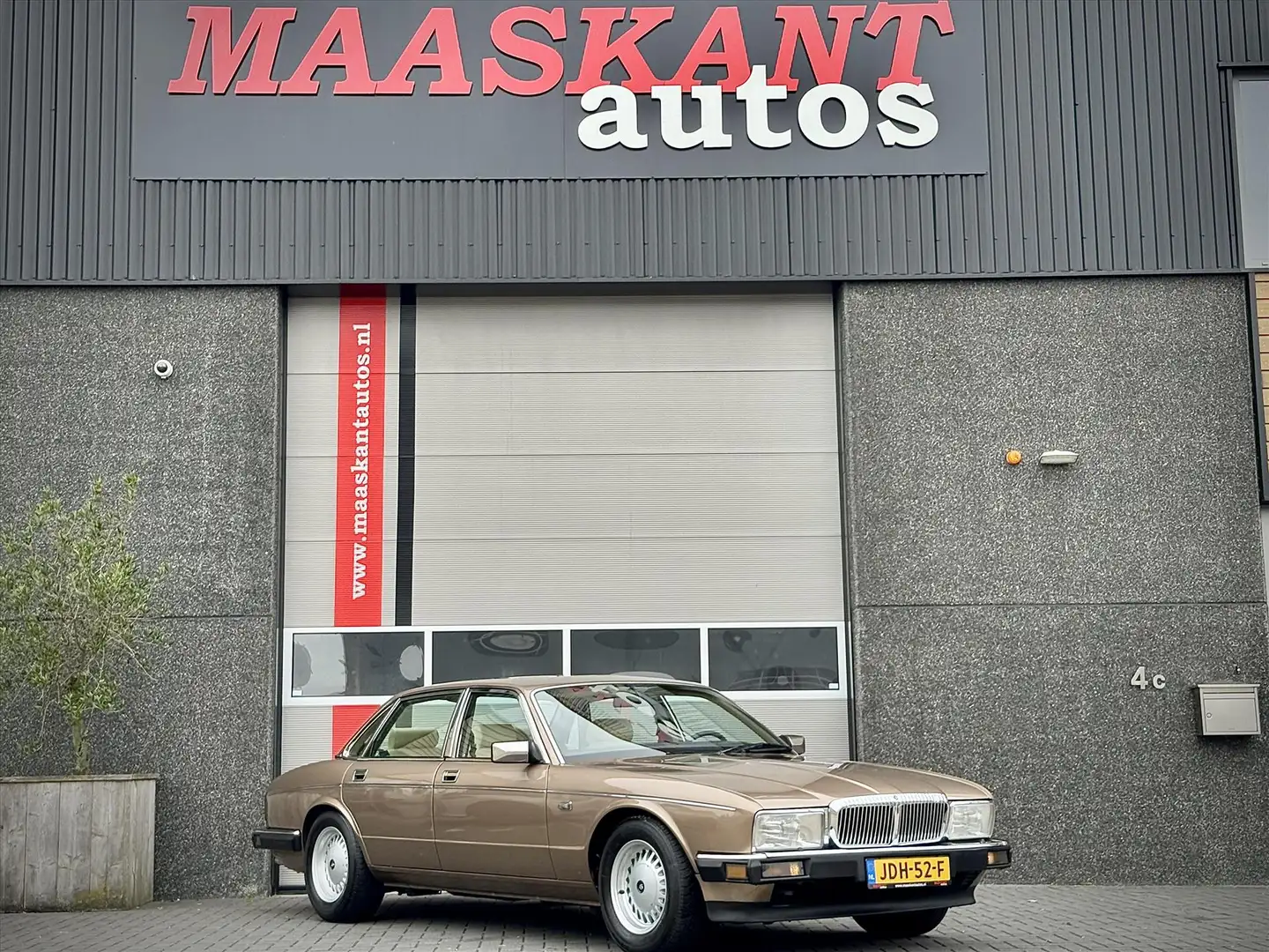 Jaguar XJ XJ-6 3.6 / Daimler / Rare early example / Satinbei Bruin - 2