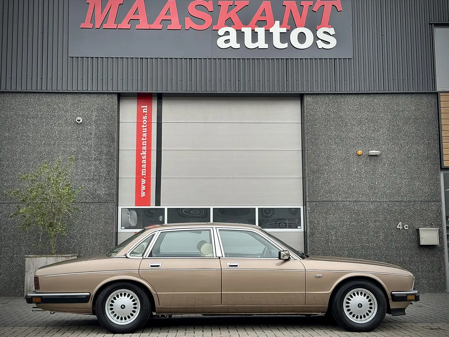 Jaguar XJ XJ-6 3.6 / Daimler / Rare early example / Satinbei Bruin - 1