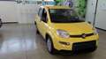 Fiat Panda 1.0 FireFly S&S Hybrid PANDINA ADAS Jaune - thumbnail 4