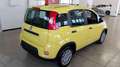 Fiat Panda 1.0 FireFly S&S Hybrid PANDINA ADAS Jaune - thumbnail 6
