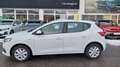 Dacia Sandero Comfort Weiß - thumbnail 6