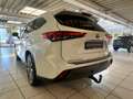 Toyota Highlander Executive 7-Sitzer Blanc - thumbnail 8
