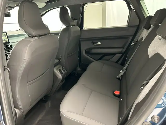 Dacia Bigster view 10