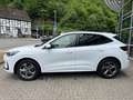 Ford Kuga ST-Line 1.5 EcoBoost HEAD-UP-Display LED-Matrix SH Wit - thumbnail 12
