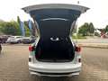 Ford Kuga ST-Line 1.5 EcoBoost HEAD-UP-Display LED-Matrix SH Wit - thumbnail 8