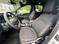 Ford Kuga ST-Line 1.5 EcoBoost HEAD-UP-Display LED-Matrix SH Wit - thumbnail 13