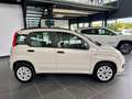 Fiat Panda 0.9 TwinAir Turbo Natural Power Easy bež - thumbnail 4