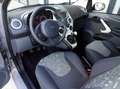 Ford Ka/Ka+ Ka 1.2 69CV Tagliandata Revisionata Cinghia Nuova Grigio - thumbnail 6